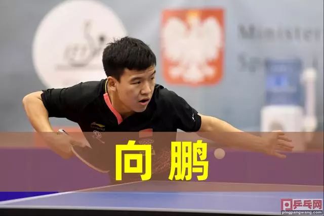 化学反应和 化学反应和